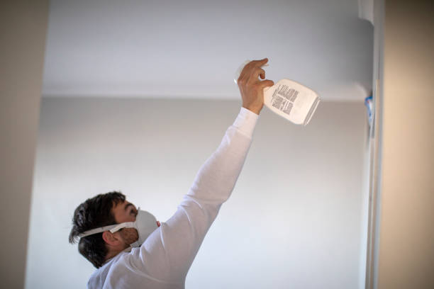 Best Professional Mold Removal  in County Center, VA