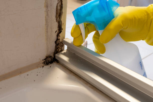 Crawl Space Mold Removal in County Center, VA