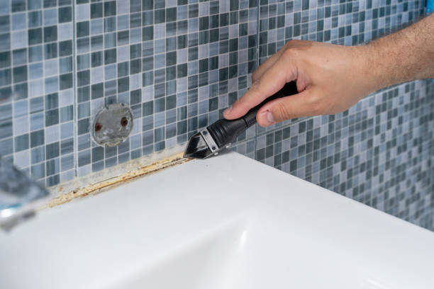 Best Fast Mold Removal  in County Center, VA