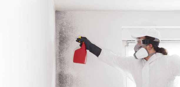 Best Mold Testing  in County Center, VA
